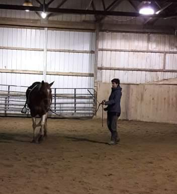 received_353872442084208